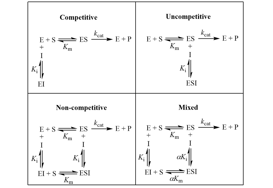 Kinetic schemes for enzyme inhibition: competitive, uncompetitive, non-compeptitive, and mixed