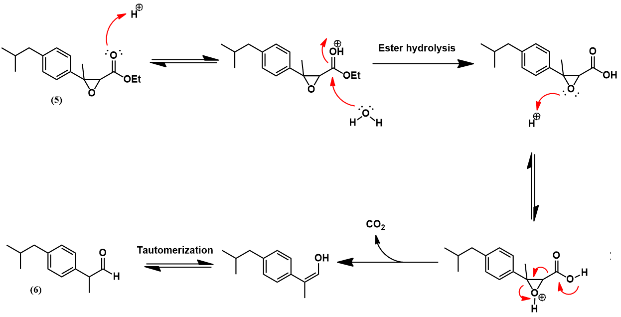 α,β-epoxy ester hydrolysis and decarboxylation mechanism