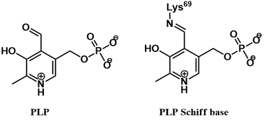 PLP and PLP Schiff base chemical structures