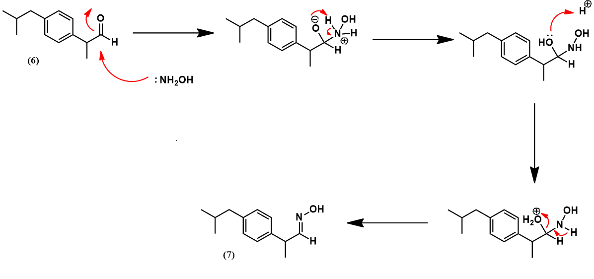 Oxime formation mechanism