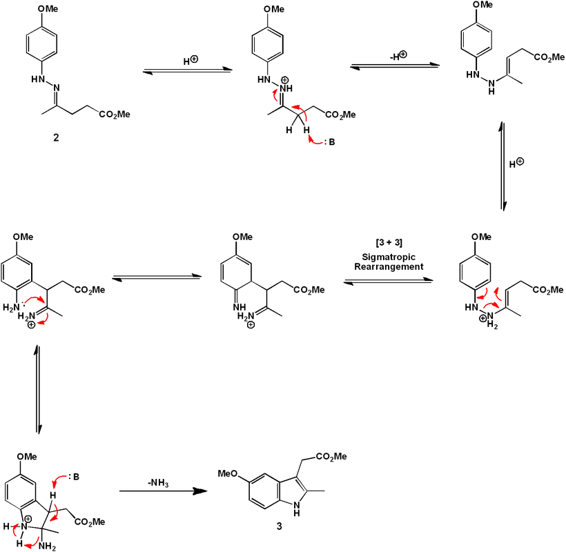 Fischer indole synthesis mechanism