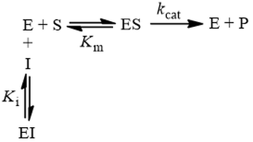 Competitive inhibition kinetic scheme