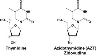 Structure of Zidovudine