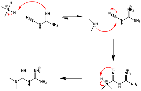 Metformin synthesis mechanism