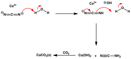 Calcium cyanamide hydrolysis mechanism