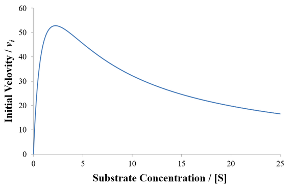 Substrate inhibition velocity curve