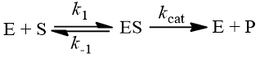 Kinetic scheme for steady-state assumption