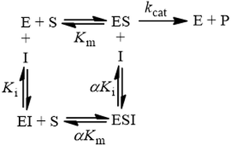 Mixed inhibition kinetic scheme
