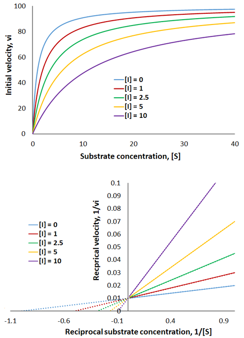 Competitive inhibition Michaelis-Menten and L-B plots