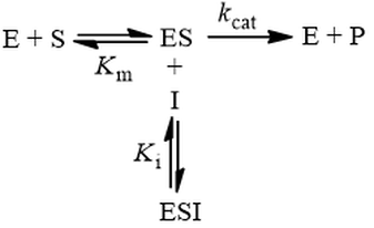 Uncompetitive inhibition kinetic scheme