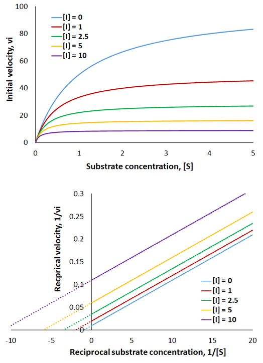 Uncompetitive inhibition Michaelis-Menten and L-B plots