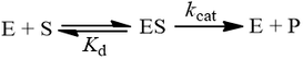 Rapid equilibrium kinetic scheme