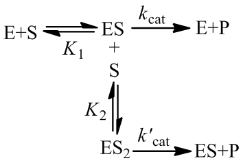 Substrate inhibition generalized kinetic scheme
